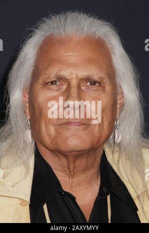 Los Angeles, Californie, États-Unis. 13 février 2020. Michael Horse 02/13/2020 la première mondiale de "The Call of the Wild" tenue au El Capitan Theatre de Los Angeles, CA photo d'Izumi Hasegawa/HollywoodWire NewsWire.co crédit: Hollywood News Wire Inc./Alay Live News Banque D'Images