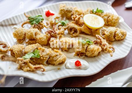 Calamars coupés frits, sauce au goudron et au citron, servis sur une plaque en céramique blanche. Banque D'Images