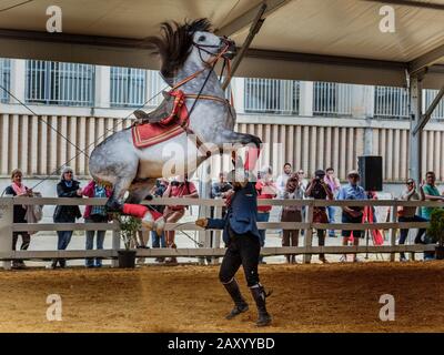 Divers événements équins ont lieu, notamment la discipline des chevaux à la foire annuelle de Jerez (Feria de Caballo), Jerez de la Frontera, Andalousie, Espagne Banque D'Images