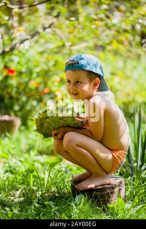 Petit garçon tenant une tête de tournesol mûre. Un joli petit garçon dans une casquette de baseball est assis sur une bosse. Enfants Mangeant Des Graines De Tournesol Banque D'Images