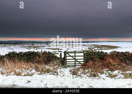 Teesdale, Comté De Durham, Royaume-Uni. 14 février 2020. Météo britannique. Avec Storm Dennis à l'horizon pour demain, c'était un début atmosphérique à la journée sur les champs de neige des Pennines du Nord. Crédit: David Forster/Alay Live News Banque D'Images