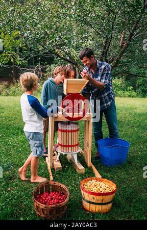 Père et trois enfants dans le jardin pressant des pommes pour faire du cidre, États-Unis Banque D'Images