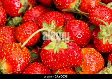 Beaucoup de fraises disposés comme l'arrière-plan Banque D'Images