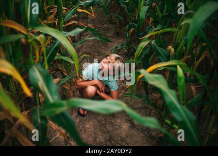 Croûtage de garçon dans un champ de maïs, États-Unis Banque D'Images