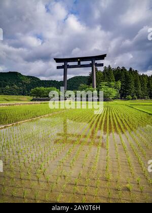 La plus grande porte torii du monde à l'entrée du site sacré du Kumano Hongu Taisha sur le sentier de pèlerinage Kumano Kodo à Wakyama, au Japon Banque D'Images