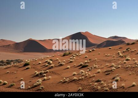 Namib Wueste, Namibie Banque D'Images