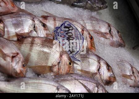 Rame de mer à bandes rouges Parus auriga sur le marché du poisson Banque D'Images