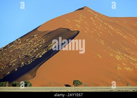 D'immenses dunes de sable au dernier soir, Namib Naukluft Nation Banque D'Images