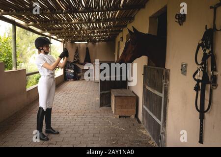 Femme caucasienne en faisant une photo d'elle tout en dressage de cheval dans stable Banque D'Images