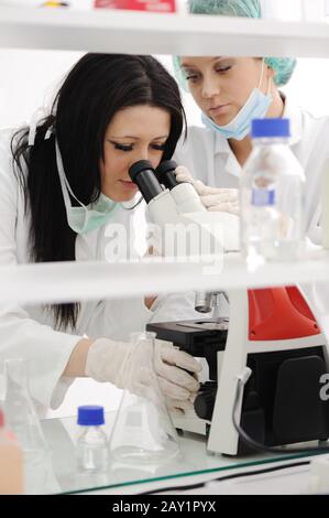 Femmes travaillant avec un microscope dans un laboratoire Banque D'Images