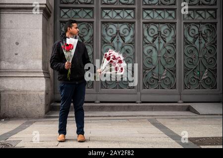 Madrid, Espagne. 14 février 2020. Un vendeur de rue essayant de vendre des roses sur la place Cibeles pour la Saint-Valentin. Crédit: Marcos Del Mazo/Alay Live News Banque D'Images