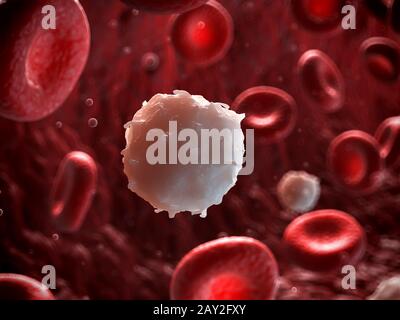 Rendu 3d illustration d'un globule blanc Banque D'Images
