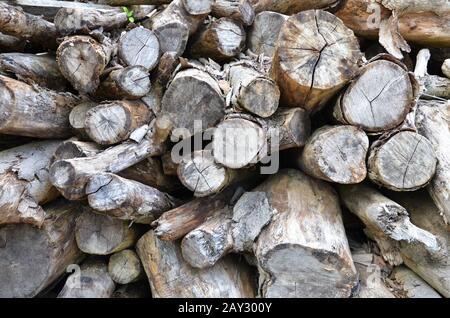 Grumes de bois de chauffage hachées à sec empilées dans une pile Banque D'Images