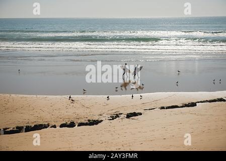 Dakhla, MAROC - 18 JANVIER 2020: Deux surfeurs professionnels transportant leurs planches de surf tout en allant à la mer, surfeurs professionnels en su de plongée noire Banque D'Images