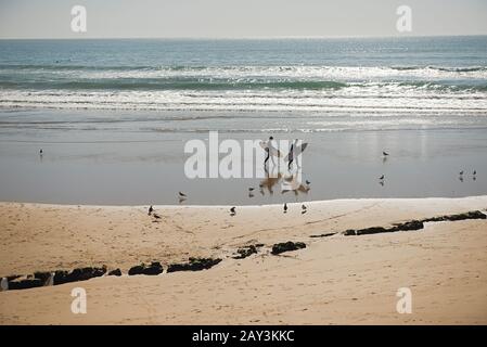 Dakhla, MAROC - 18 JANVIER 2020: Deux surfeurs professionnels transportant leurs planches de surf tout en allant à la mer, surfeurs professionnels en su de plongée noire Banque D'Images