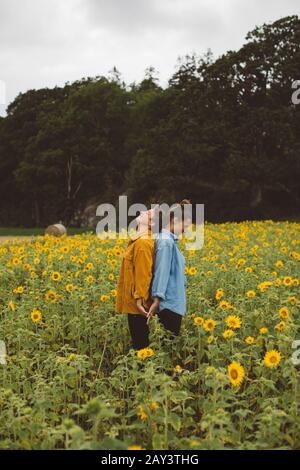 Couple sur champ de tournesol fleuri Banque D'Images