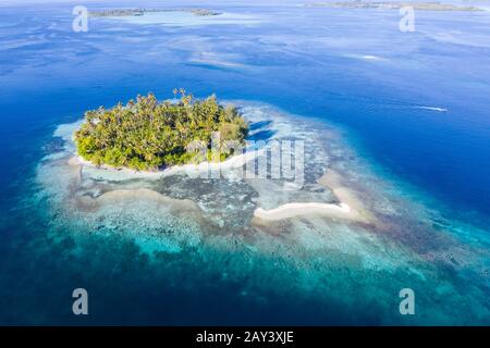 Une île tropicale éloignée de la mer de Molucca, en Indonésie, est entourée d'un récif de corail sain. Cette région abrite une incroyable biodiversité marine. Banque D'Images