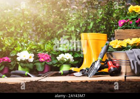 Ensemble D'Outils De Jardinage Et Fleurs Dans Sunny Garden Banque D'Images