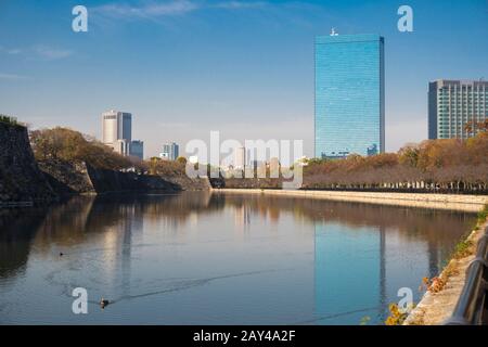 Canards nageant dans le lac situé dans le parc du château d'Osaka, Osaka, Japon, avec fond de gratte-ciel Banque D'Images