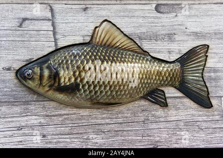Copie du poisson carpe sur le mur Banque D'Images