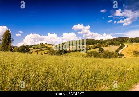 Tuscany. Hills in spring season, Italy. Banque D'Images