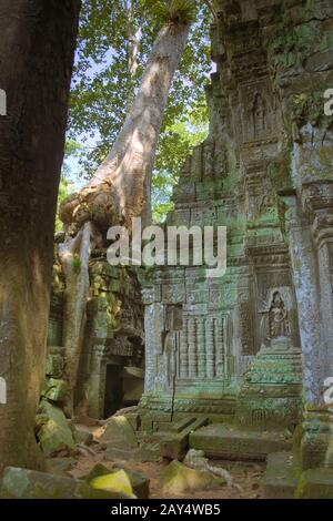 Immense arbre qui pousse sur une porte en pierre sur la cour intérieure du temple de Ta Prohm, dans le complexe Angkor Wat près de Siem Reap, au Cambodge. Banque D'Images