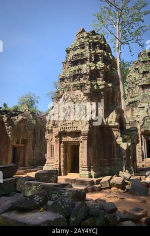 Tour centrale du temple de Ta Prohm, situé sur les ruines du complexe Angkor Wat près de Siem Reap, au Cambodge. Banque D'Images