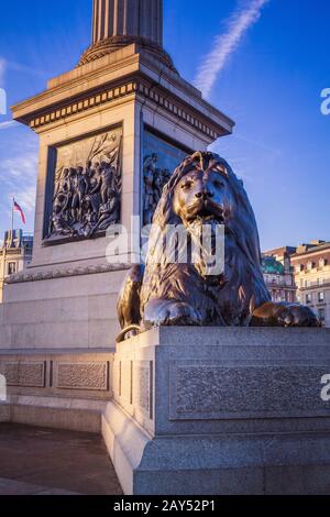 Célèbre statue de Lion en bronze, l'une des quatre, à côté de la colonne de Nelson à Trafalgar Square, Londres Banque D'Images