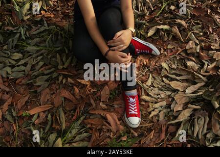 Chaussures rouges sur les feuilles. Banque D'Images