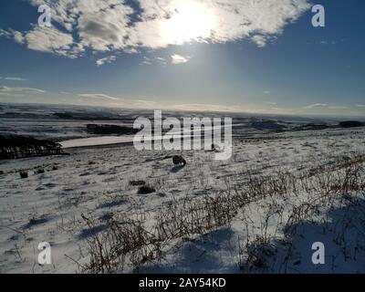 Un paysage enneigé avec des moutons en pointillés Banque D'Images