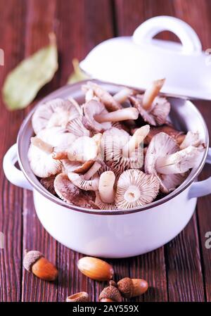 champignons Banque D'Images