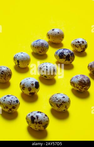 Œufs de Quail disposés en rangée, fond jaune. Orientation verticale, vue de dessus des aliments Banque D'Images