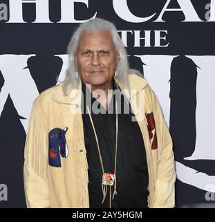 Le 13 février 2020, Hollywood, CA, États-Unis: 13 février 2020 - Hollywood, Californie - Michael Horse au World Premiere of vingtième Century Studios â€œThe appel des arrivées de tapis rouge Wildâ€ au théâtre El Capitan. (Image De Crédit : © Dave Safley/Zuma Wire) Banque D'Images