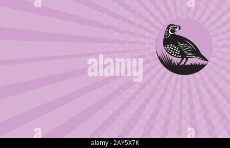 Carte de la vallée de Californie rétro Cercle d'oiseaux Caille Banque D'Images