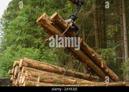 Chargement de grumes à l'aide d'une grue sur un transporteur de bois - foresterie Banque D'Images