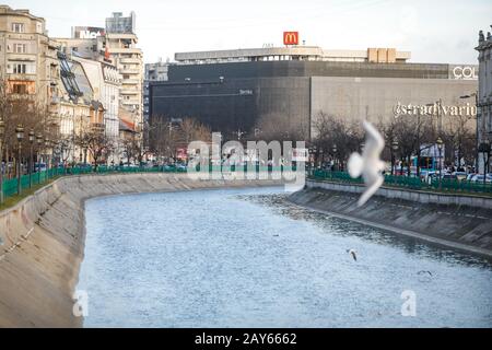 Bucarest, Roumanie - 12 février 2020: Rivière Dambovita avec place Unirii (Piata Unirii) en arrière-plan, à Bucarest. Banque D'Images