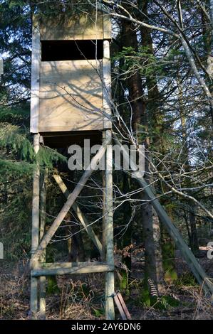 Mirador de chasse en bois sous les arbres en forêt Banque D'Images