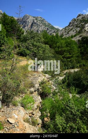 paysage, canyon, gorge, ravine, paklenica, parc national, croatie, europe, Banque D'Images