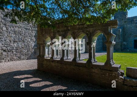 Irlande, abbaye Augustinienne de Cong. Il a été fondé au début du XIIe siècle. De Turlough O'Connor, le roi d'Irlande d'alors, à la place qui s'en trouve Banque D'Images