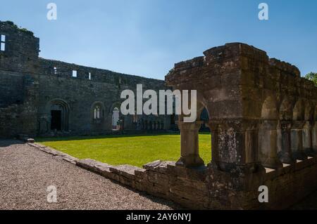 Irlande, abbaye Augustinienne de Cong. Il a été fondé au début du XIIe siècle. De Turlough O'Connor, le roi d'Irlande d'alors, à la place qui s'en trouve Banque D'Images