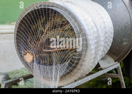 Le filet de protection sert d'enveloppement d'arbre de Noël - gros plan de l'arbre de Noël Banque D'Images
