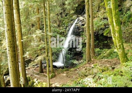 Dans la partie supérieure de la cascade de Zweribach, dans la forêt noire de Simonswald, en Allemagne Banque D'Images