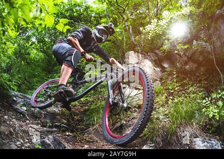 Sport. Cycliste dans la forêt Banque D'Images