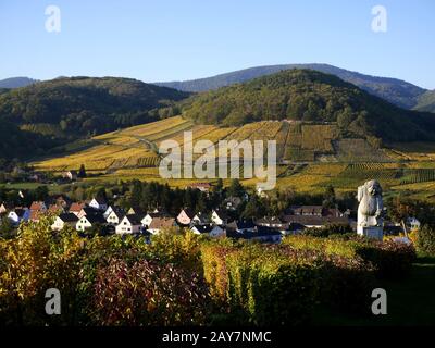 Vignoble Grand cru Moenchberg, Andlau (route des vins d'Alsace), France Banque D'Images