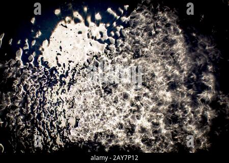 Surface d'eau étincelante vive sur fond sombre avec de petites vagues Banque D'Images