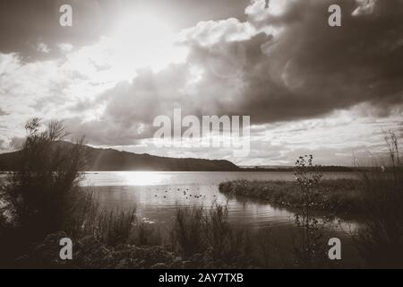 Lac Rotorua, Nouvelle-Zélande. Photo en noir et blanc Banque D'Images