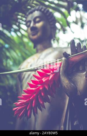 Statue Du Bouddha De La Jungle Avec Une Fleur De Gingembre Rouge Dans Sa Main Banque D'Images