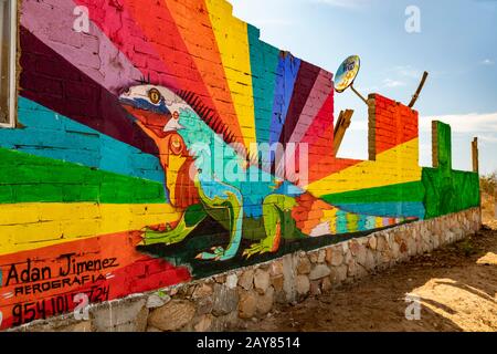 Brisas de Zicatela, Oaxaca, Mexique - une peinture d'un iguana sur un bâtiment abandonné près de la plage de l'océan Pacifique. Banque D'Images