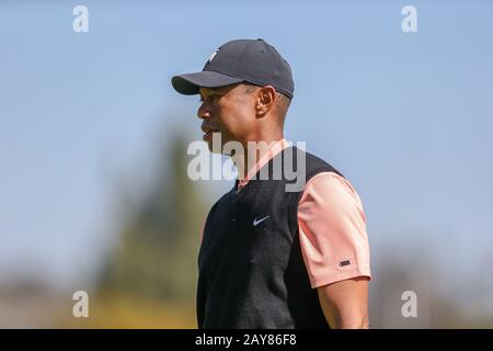 Los Angeles, États-Unis. 13 février 2020. Tiger Woods lors du premier tour sur invitation Genesis au Riviera Country Club, le jeudi 13 février 2020, dans la région des Palisades du Pacifique de Los Angeles. Crédit: Agence Photographique Sportive Européenne/Alay Live News Banque D'Images