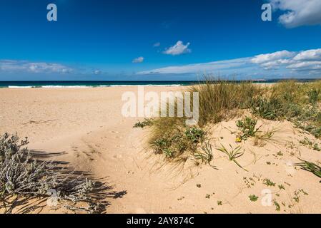 Dunes à Zahara de los Atunes, Espagne Banque D'Images